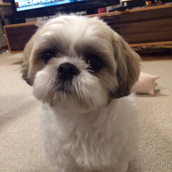 2adf36b3 b95a 4651 8d9c 6da49b0036a4