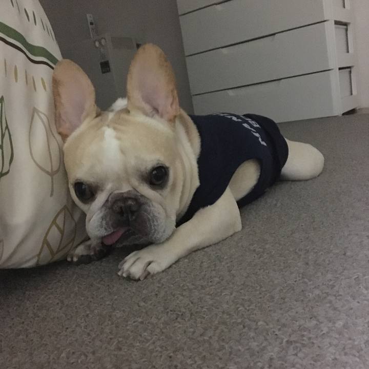 2ae062b4 9a0d 43c2 bde0 d3d9d29d28db