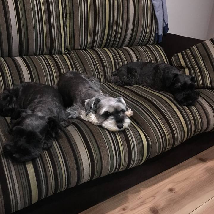 2ae09bfe ec4f 4f39 86db b3b6a49fe4b4