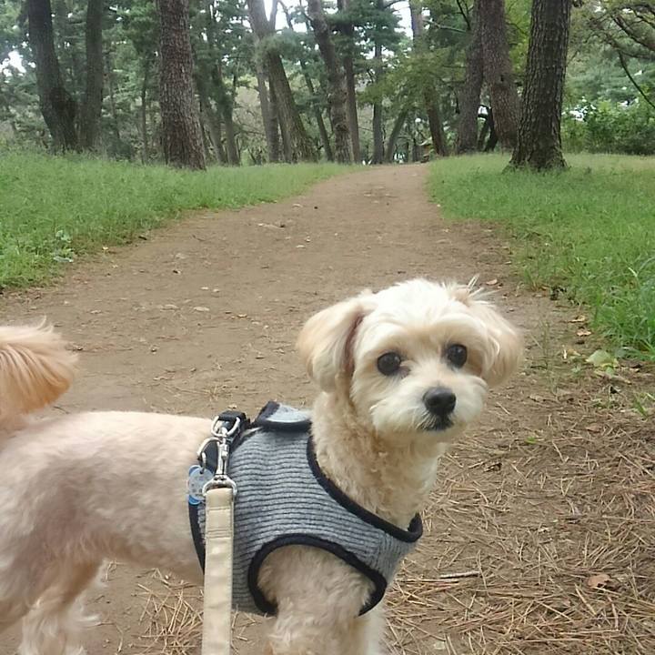 2ae1946e 495e 4e65 a818 8cffc88e9e43