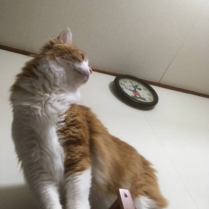 2ae1db13 8865 4fe9 9cd9 727c0a08fff2