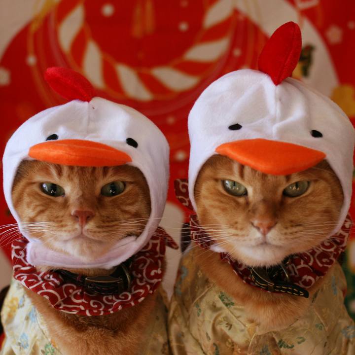 2ae1f6d7 9a37 4318 b2fa aa98ba952614