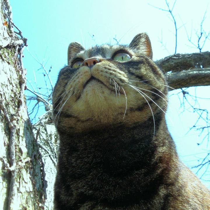 2ae2e9c2 7024 4d22 9818 a201667e67d5