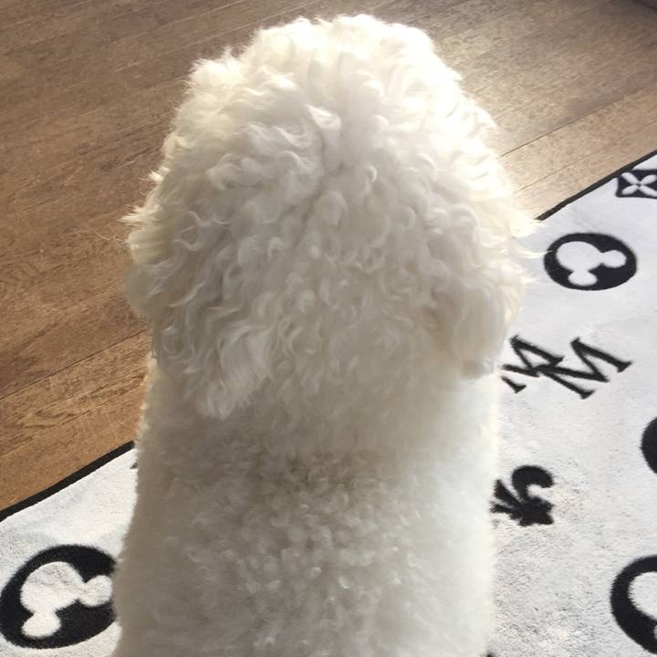 2ae30e43 b895 4cc6 993e 3e3242e55f39