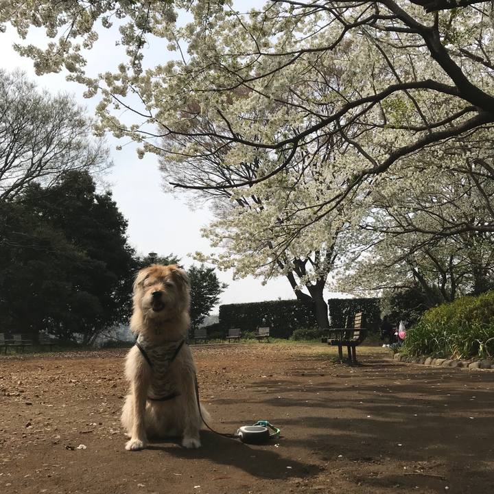 2ae35bdf 0a6b 43a4 b498 b558ab633bb5