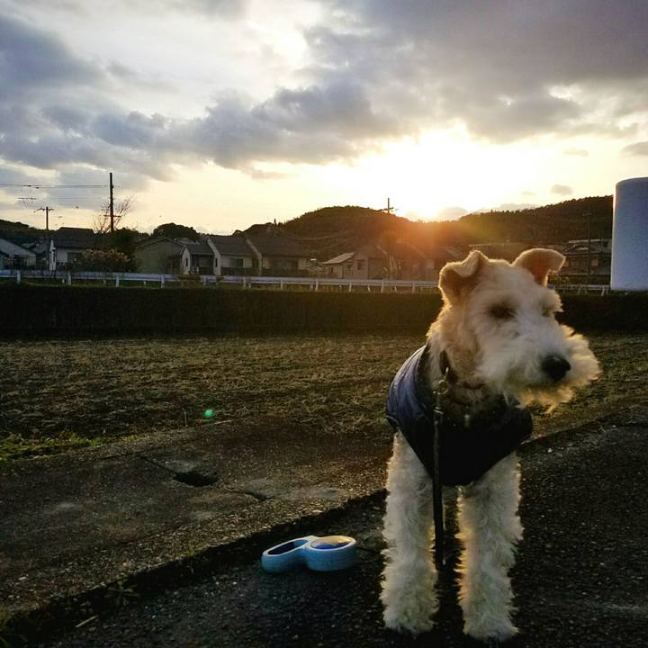 2ae38a6e 7c0a 44aa a115 2e6047ea4676