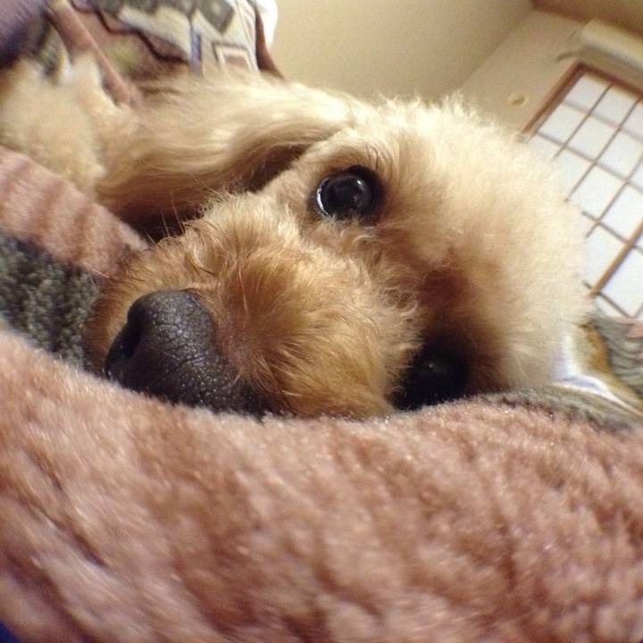 2ae4fab6 511c 4849 a3e8 542cc8ac226b