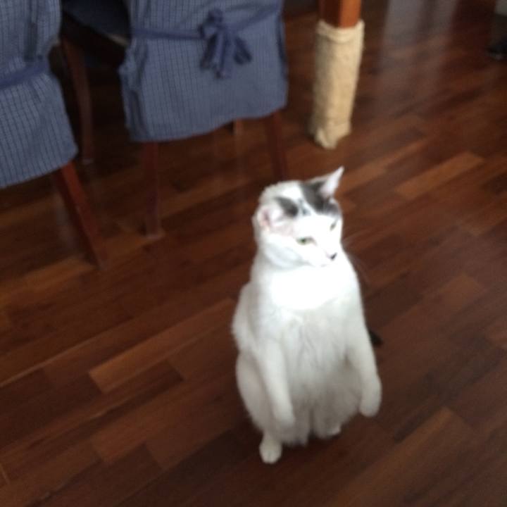 2ae5cdd8 01dc 44f4 af59 c2581cac7722