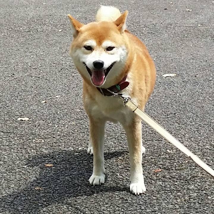 2ae64a2c 0d92 4959 9df5 7fd1b9d61ab5