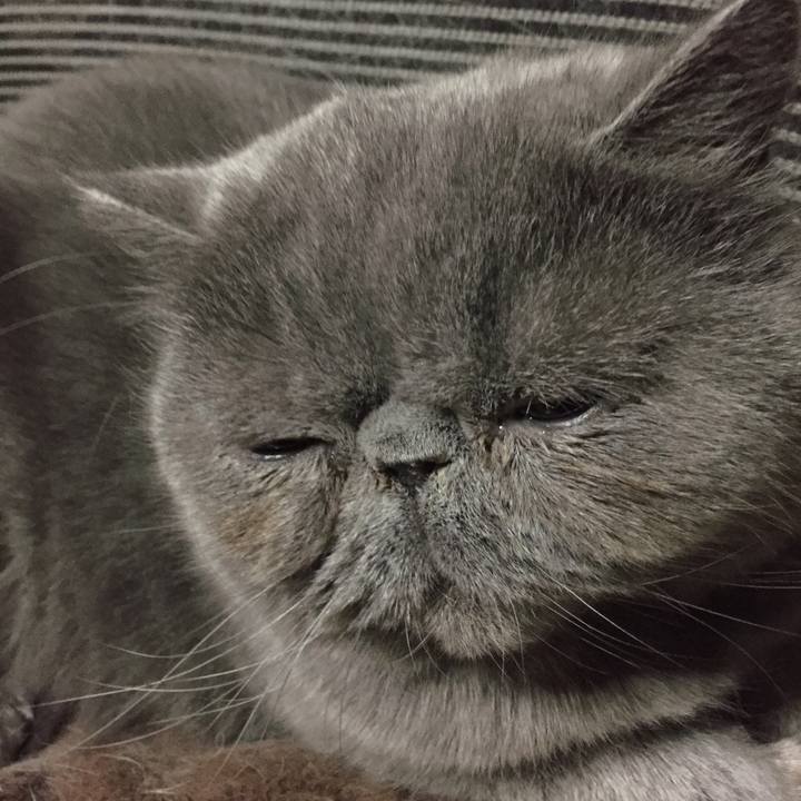 2ae6be33 e452 4f01 b6a5 075b84a54cdd