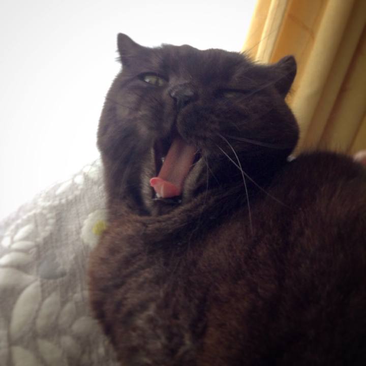 2ae6d0e1 de3e 4f90 9f81 40f1d0afa1d5