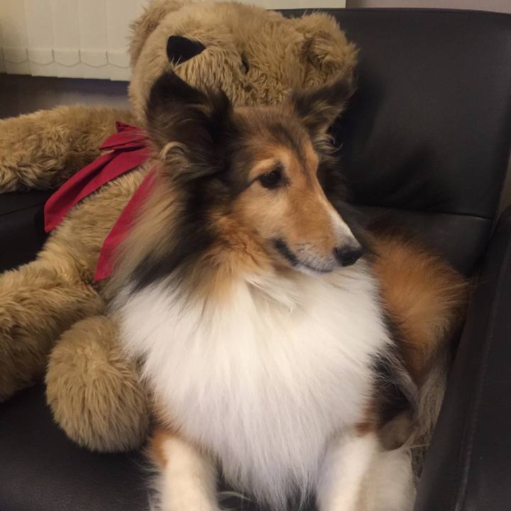 2ae72865 c635 40e6 a5fb e57693c23e66