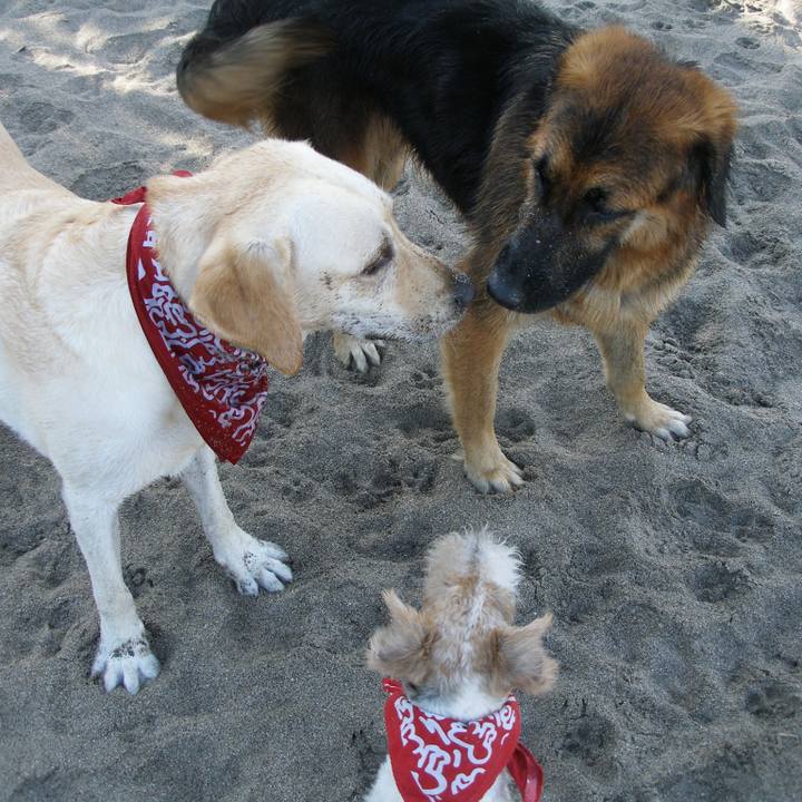 2ae7bdc4 ed5f 404c 9084 2ce1f141ebe0