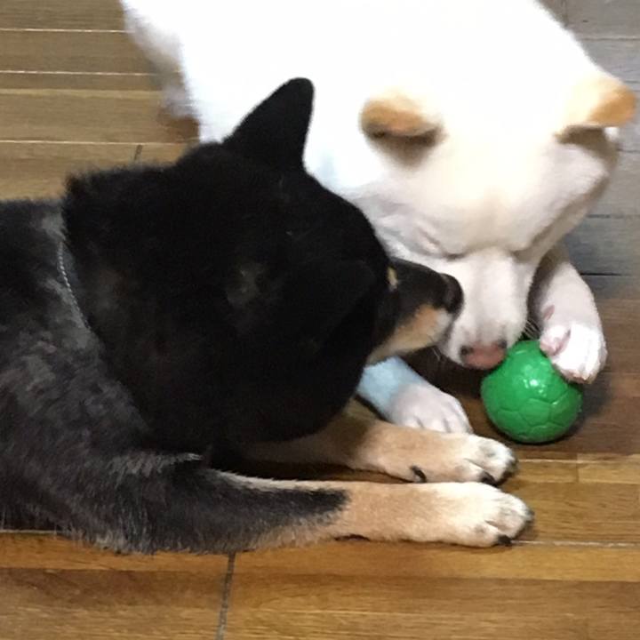 2ae8019e 9c8e 4039 8230 0424af62d82d