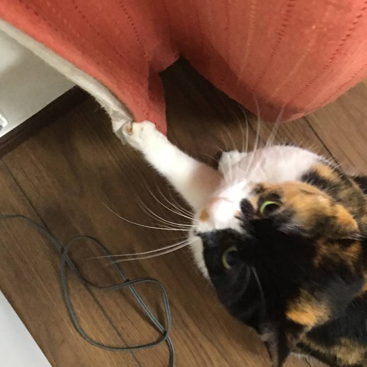 2ae89aae 23b4 4613 8fef 31443045229f