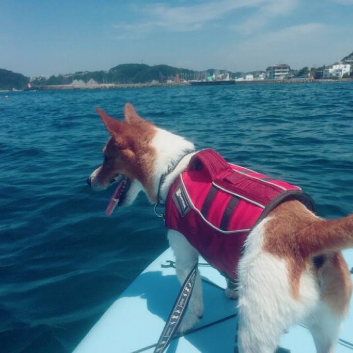 2ae8efbe dc61 439f 9f12 79b62be6b1ad