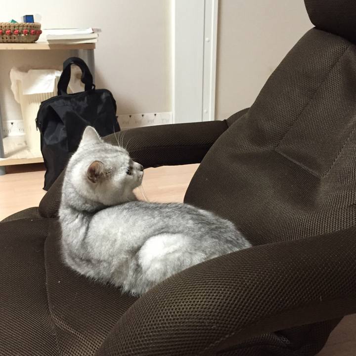 2ae91dff d336 4336 b089 4ed037b914b8