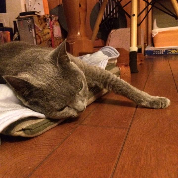 2ae943be bceb 4ea0 99d5 d3423798ed81