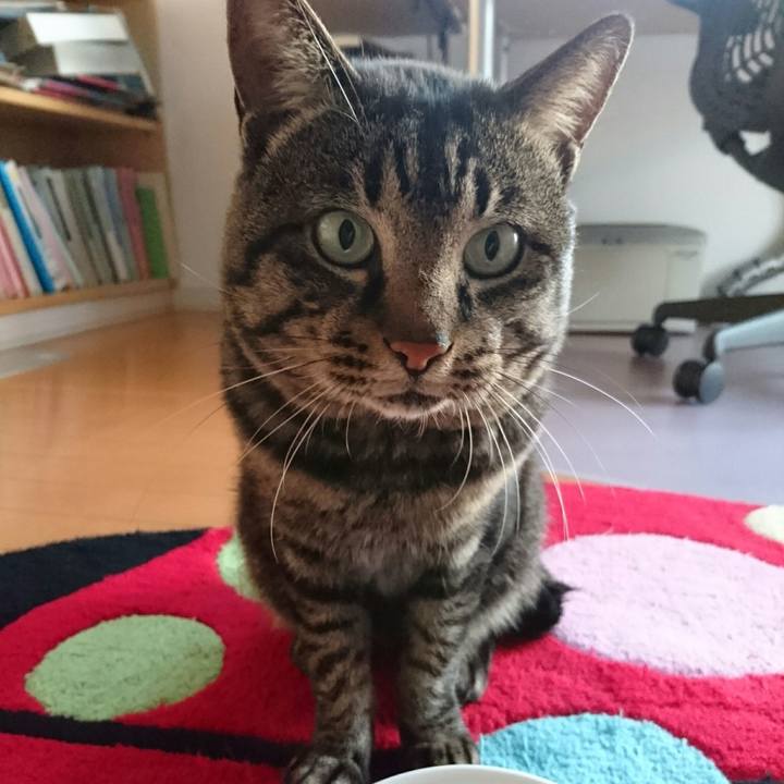 2ae947be 7ad8 4511 bc4e e05af9550d03