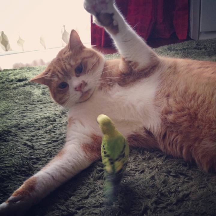 2ae987f9 650d 49d9 8fad ee454ab3b602