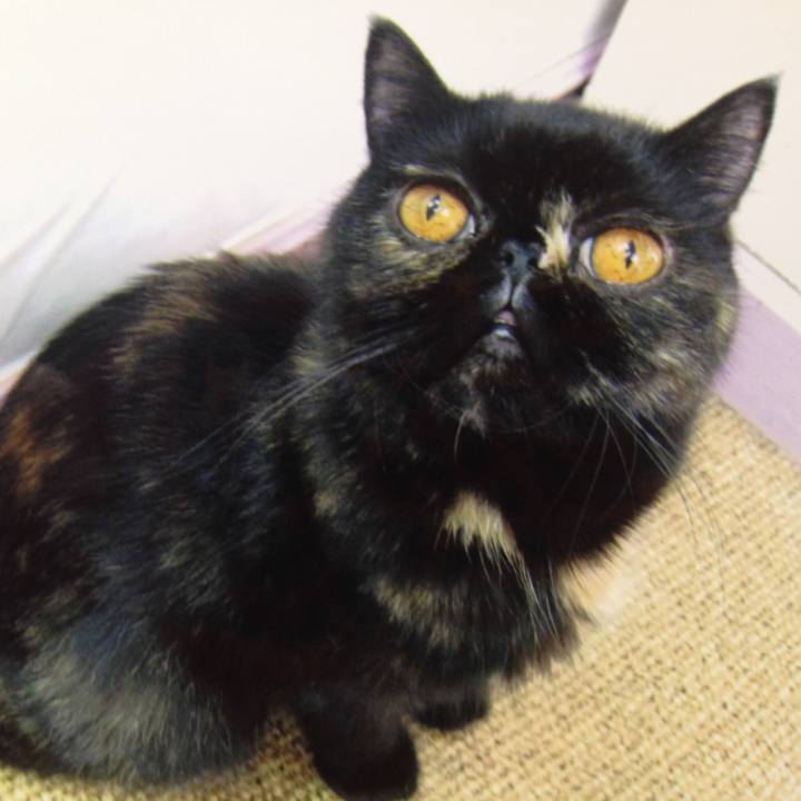 2ae99ca7 ba67 4eca bfae 8d71a859b682