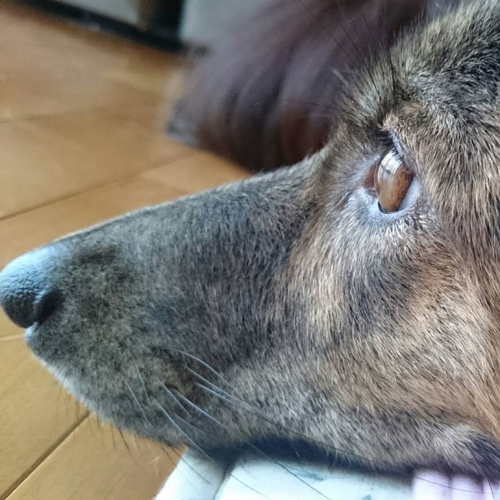 2ae9d838 503a 4308 b3d8 713a9e4701c9