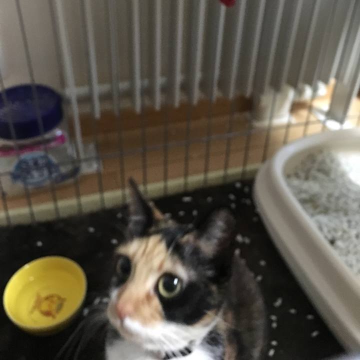 2aea2bfe 8180 49bc 8480 adc97911090c