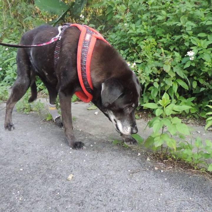 2aea5673 e8ee 4736 9065 7f0270840c96