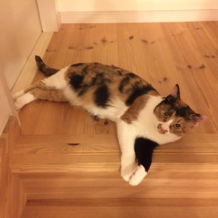 2aeb4c06 4d4d 4683 a958 43d93edfb748