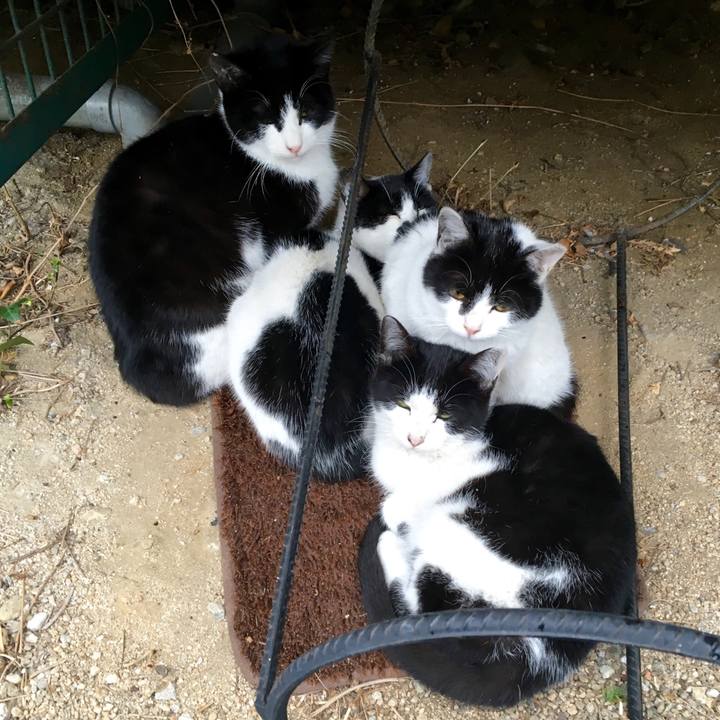 2aeb8dc6 b9f0 4338 9be9 5adc8043344b