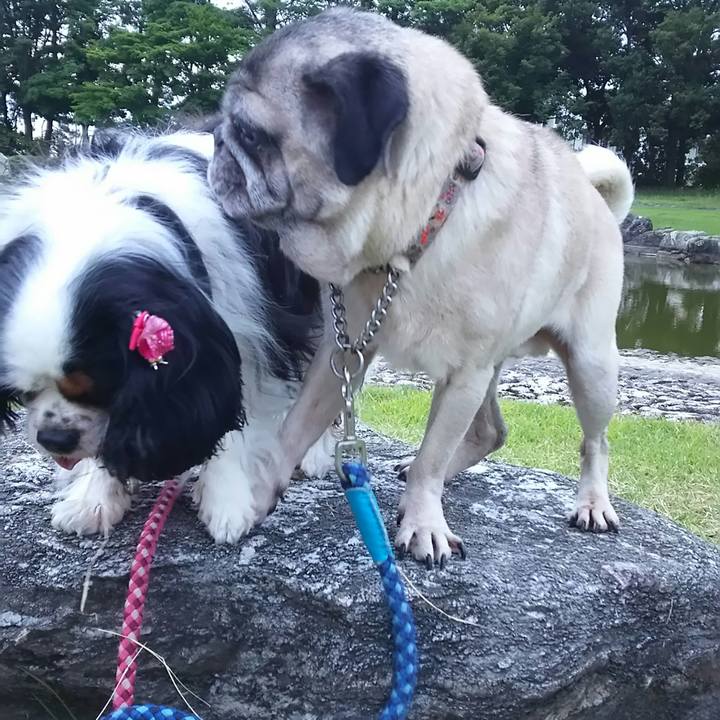 2aebb3a7 f3b3 4aa9 a9f1 4dd383fc76ff