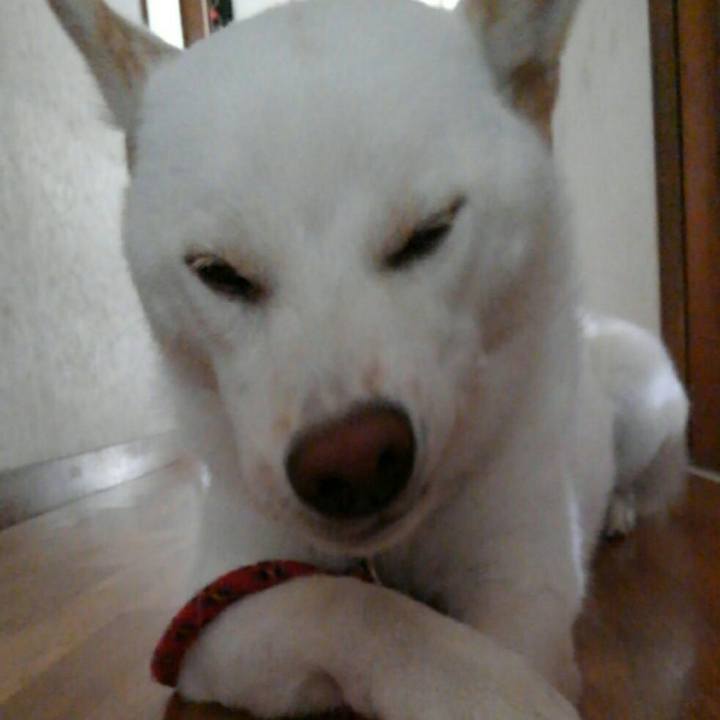 2aec883b c4ed 445d 8d2e d702b036e877