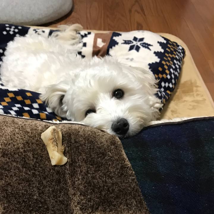 2aed0bd5 c2b7 4af6 875c 6ced4e154094