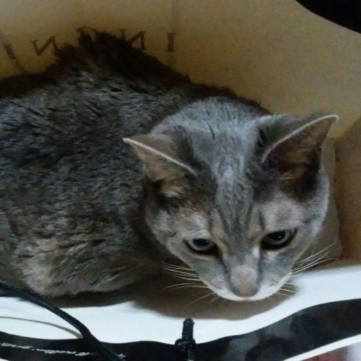 2aed5060 0334 4915 951e 30a1fb8ef652