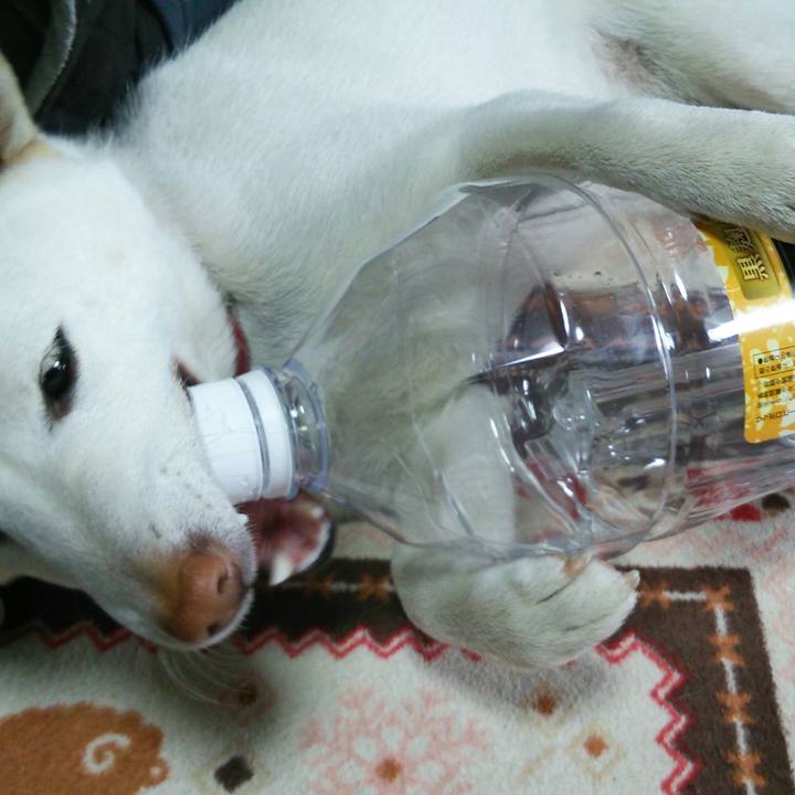 2aee0c58 4f83 4871 a1e4 18fa665bcc1d