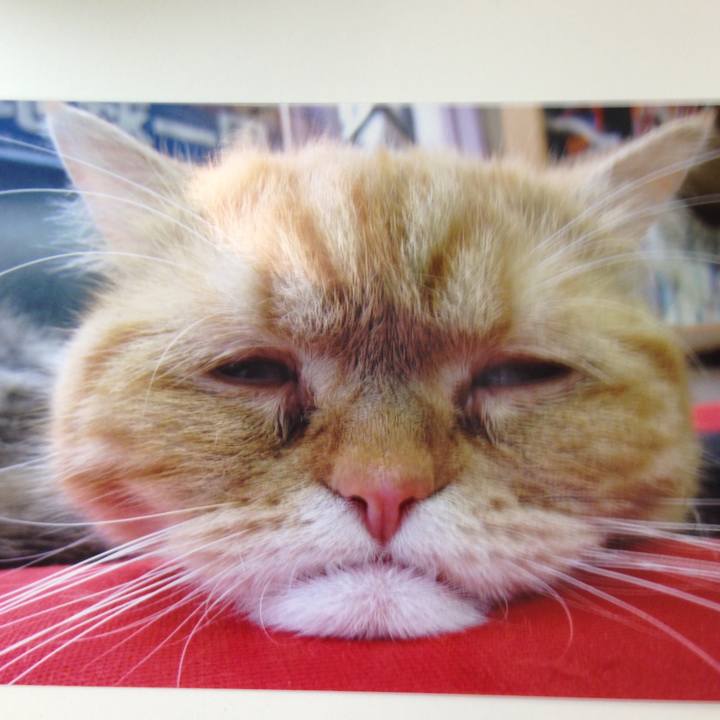 2aee2d55 fef1 4519 be94 aafb39c2703e