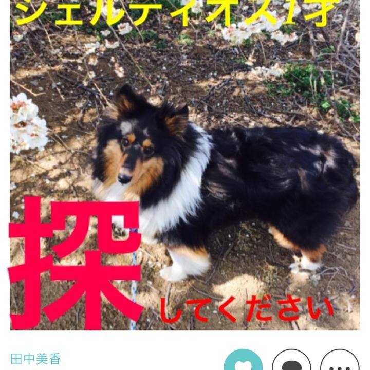 2aee4853 755d 4f71 91f5 9cb3834abc69