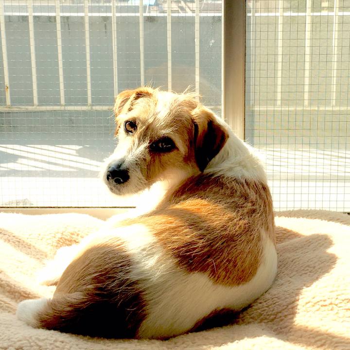 2aee85c4 dd2b 42b6 a350 918b20028688