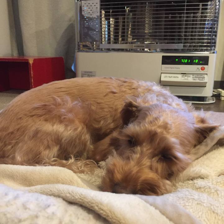 2aeed2ad d496 491f 8013 6d7ecda850a4