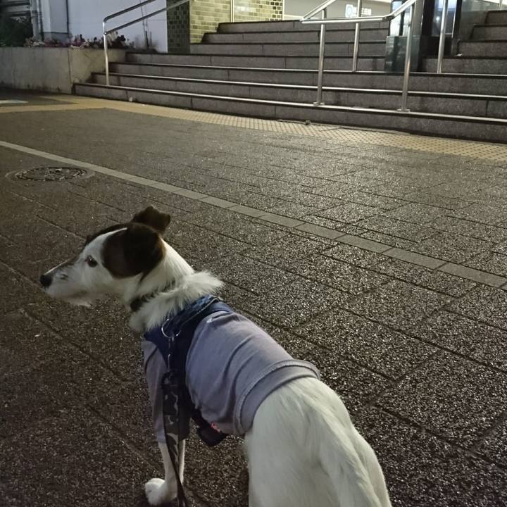 2aef9cf4 61e9 4830 a3a7 09b70f5cd076