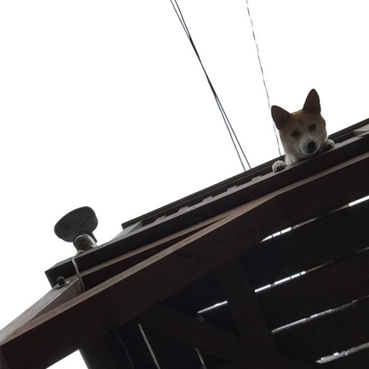 2aefa02e 154a 4570 998d dbe502dbf6ba