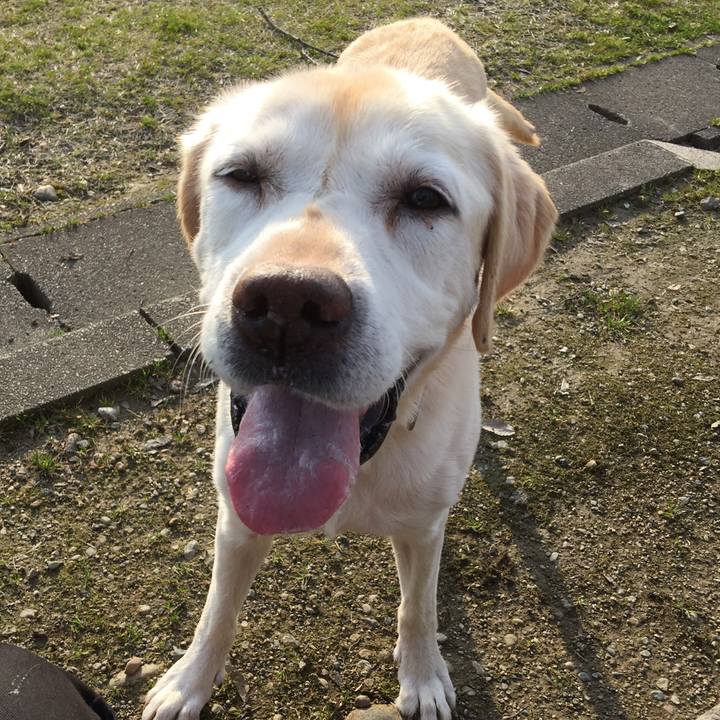 2af01646 0d2e 4b14 b211 647ed505fd32