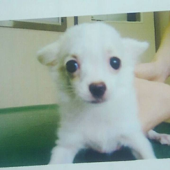 2af038b0 8395 4a46 b4f3 98fcd2389237