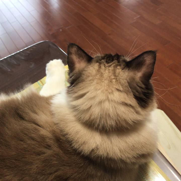 2af03e59 f609 4b15 a092 8ebfb4523658