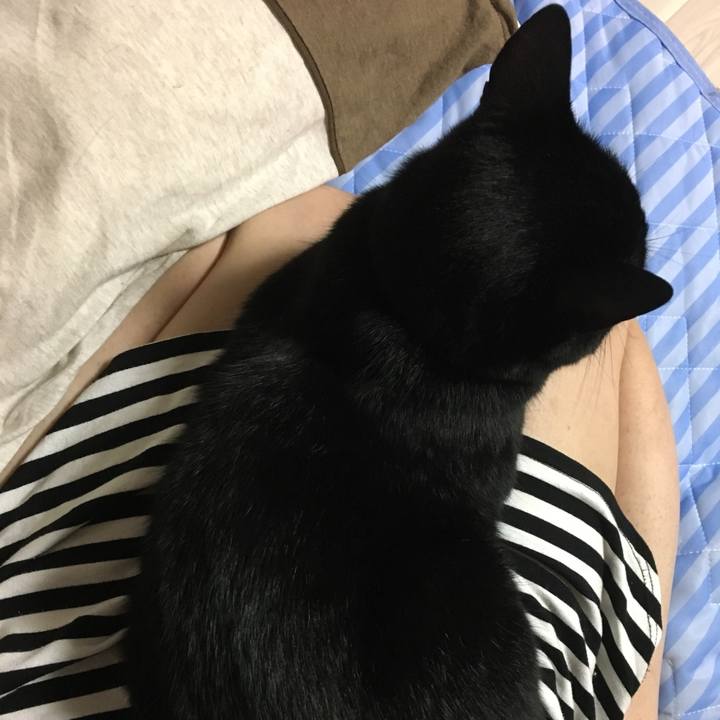 2af05ade e111 4f13 8dda 502ac733da0f