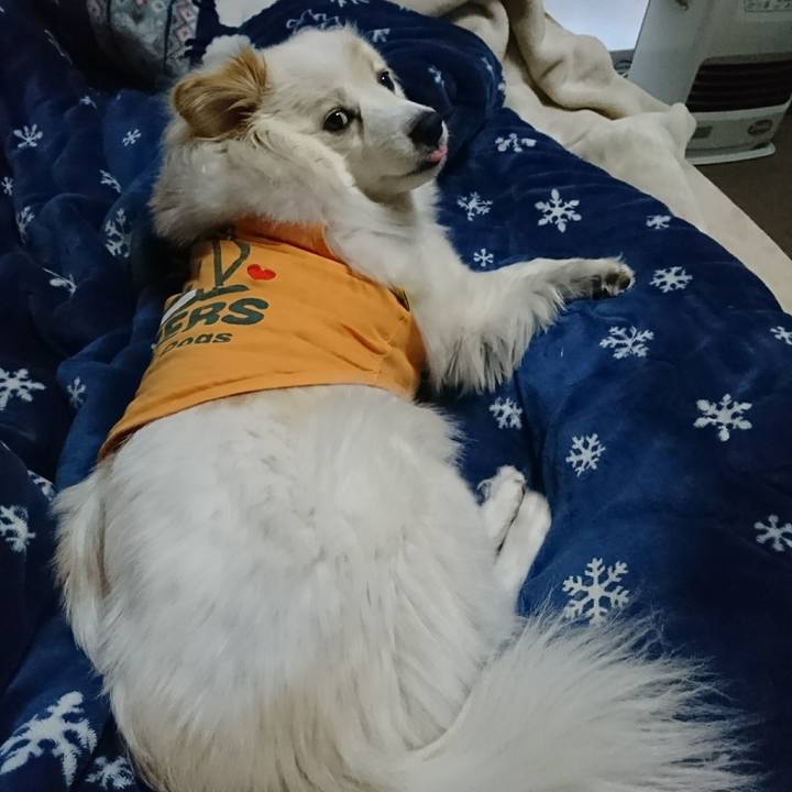 2af24385 ba31 45e2 8f96 c3fe9f412b2d