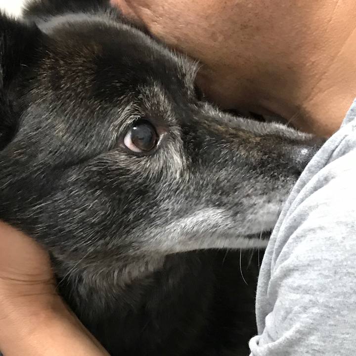 2af2534d eacb 49c3 a2f6 b5e1cfbeb156