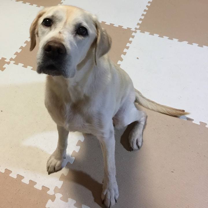 2af28a71 c464 41cc a724 594a840ecaf0