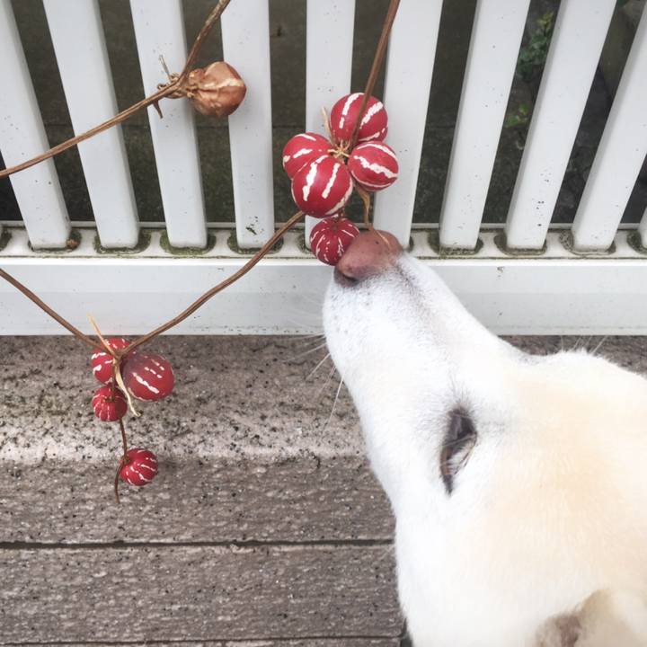 2af2a09b e52d 4d73 9371 36b9c64532ea