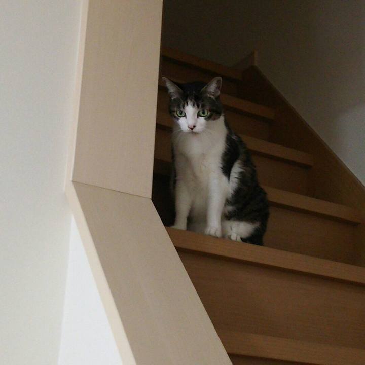 2af2b470 3d64 4121 a97d bbcb4791b4d7